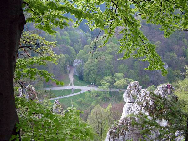 35j4x736l6635w73s39n32388766