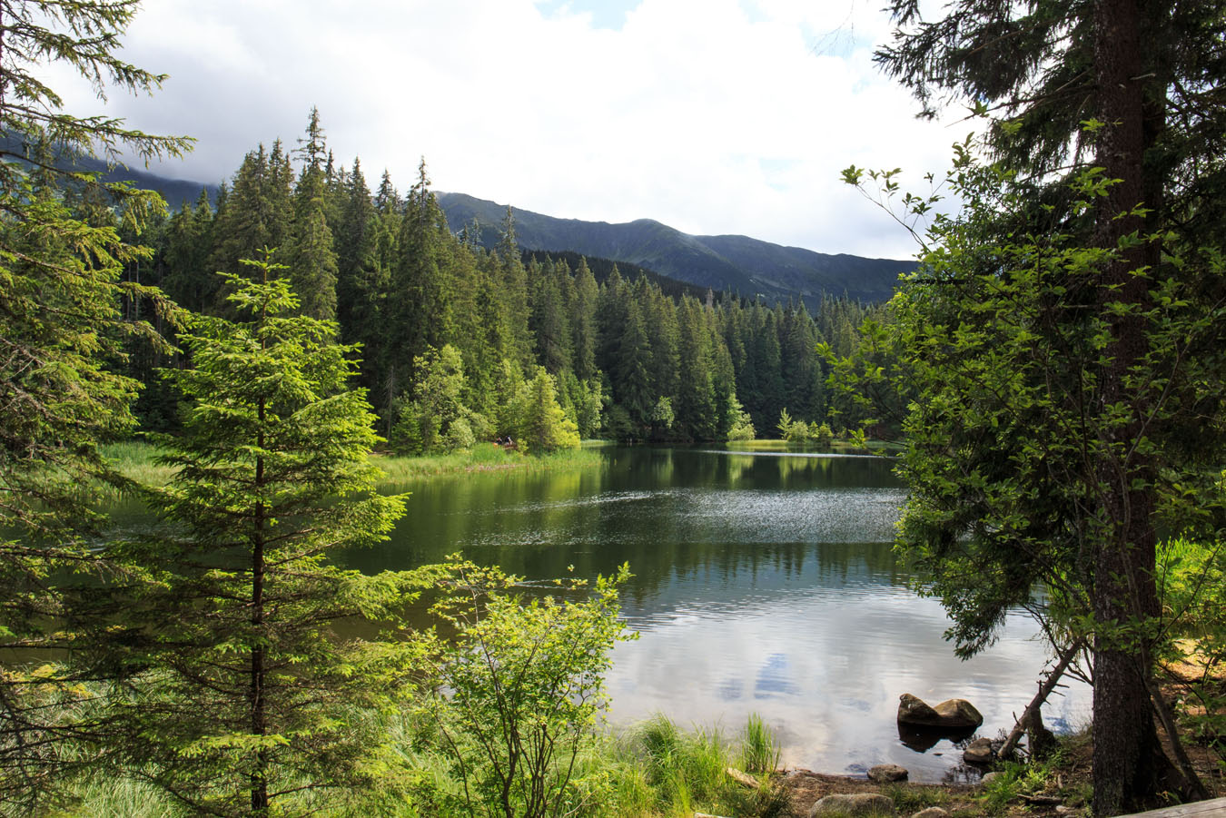 Pieniny 02 Un