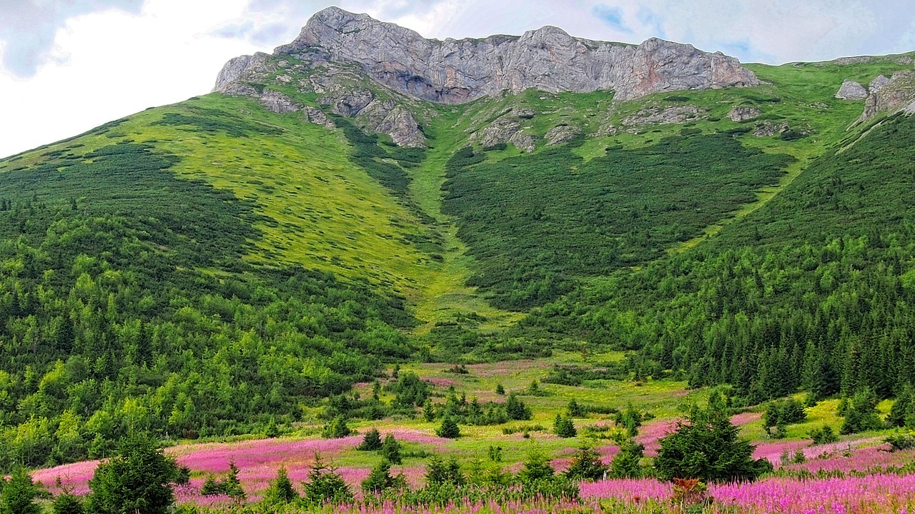 Tatry Polskie i Słowackie